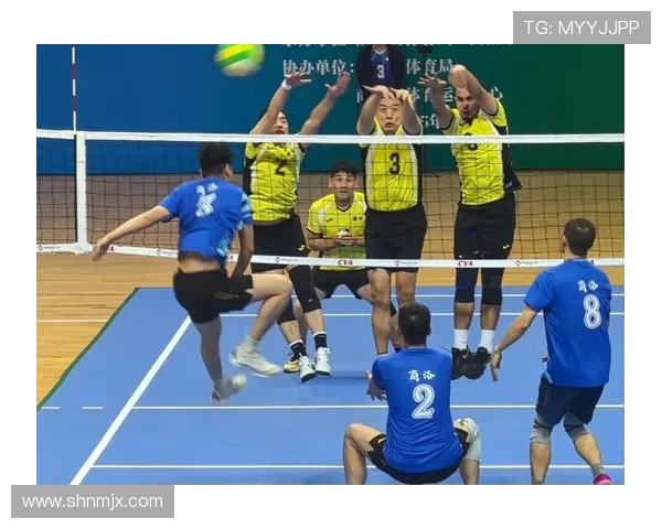 杭州排球队展现卓越灵活性荣登最新排球灵活性TOP10榜首