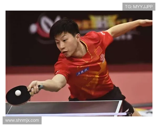 深圳乒乓球队在联合会杯中的强势表现与未来发展潜力分析